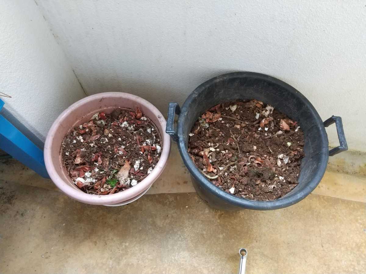 自家製コンポストで生ごみ減らし、肥料を作ろう！失敗しないコツあります。 | 沖縄の家庭菜園ブログ-簡単！無農薬有機栽培