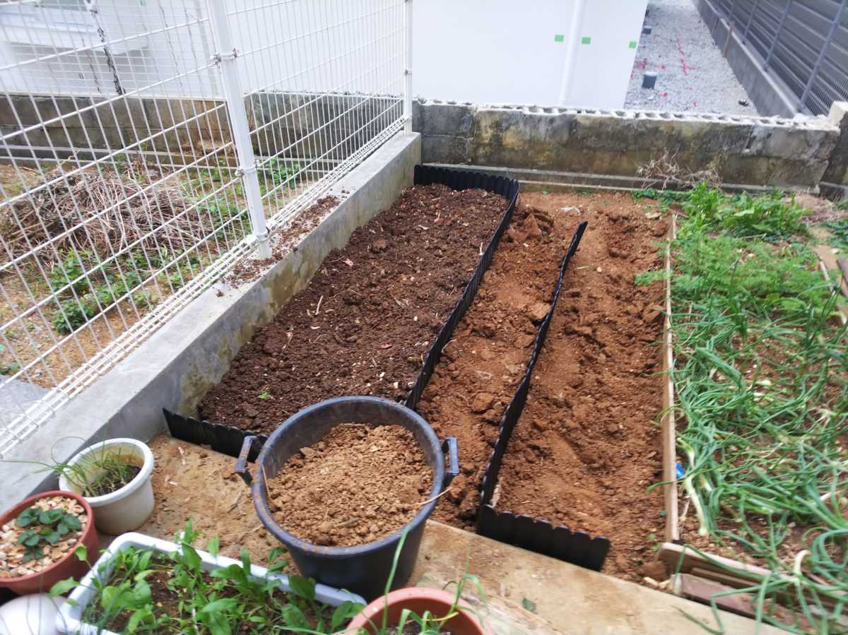 庭の改造着手 初日 沖縄の家庭菜園ブログ 簡単 無農薬有機栽培